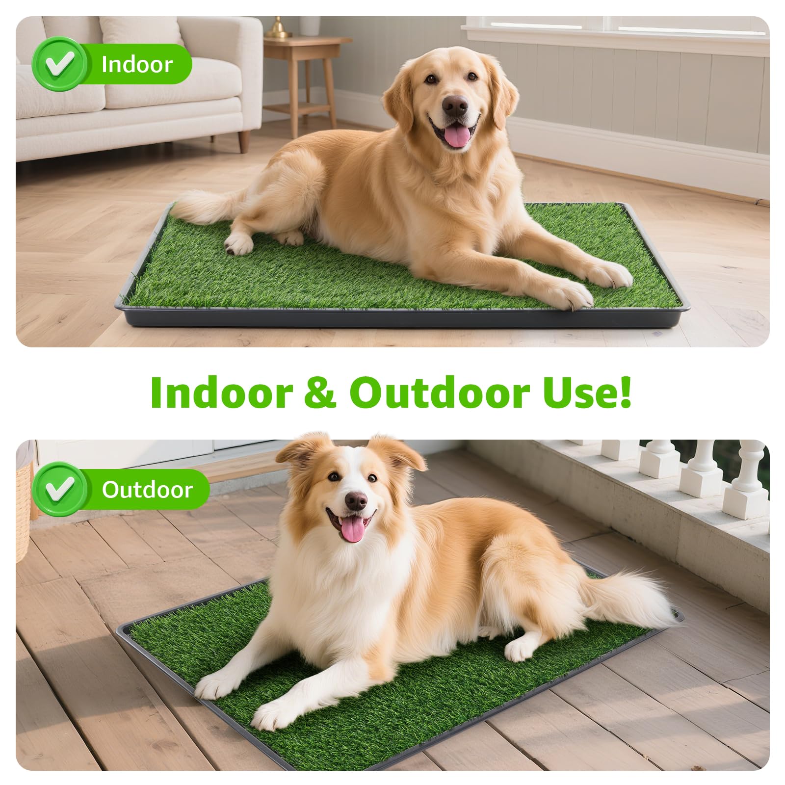 LOOBANI two grass pads option supports potty training routines