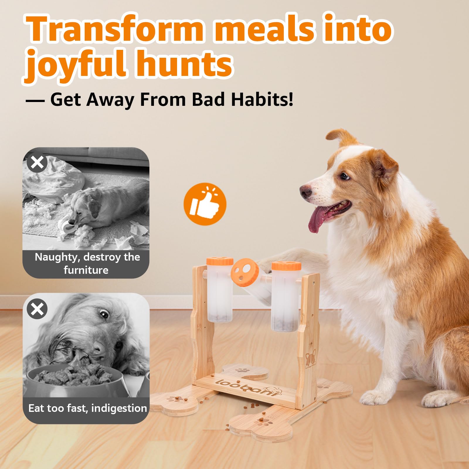 LOOBANI dog in use demonstrates interactive play and treat dispensing.