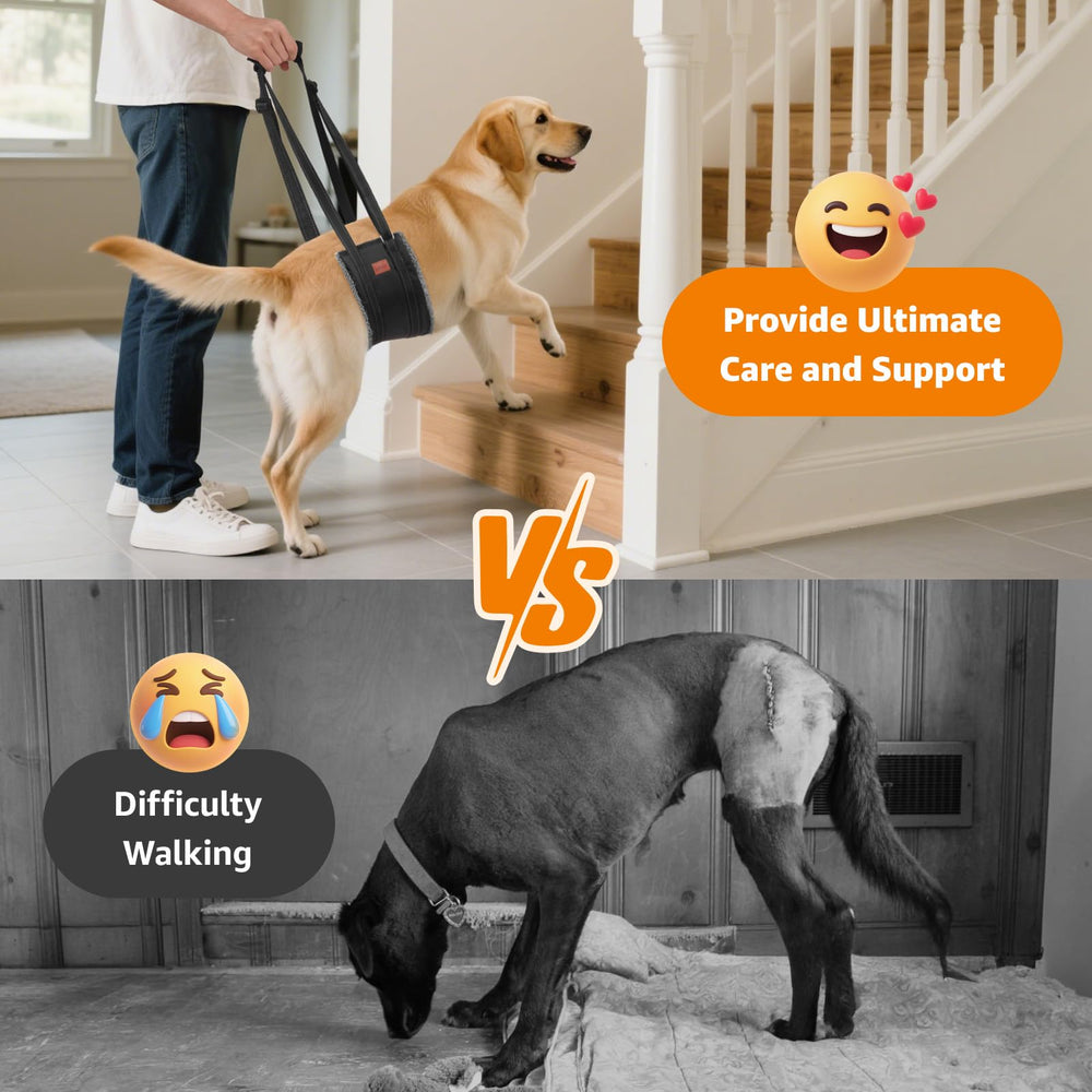 LOOBANI dog sling stand-up use helps rising during daily routines.