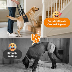 LOOBANI dog sling stand-up use helps rising during daily routines.