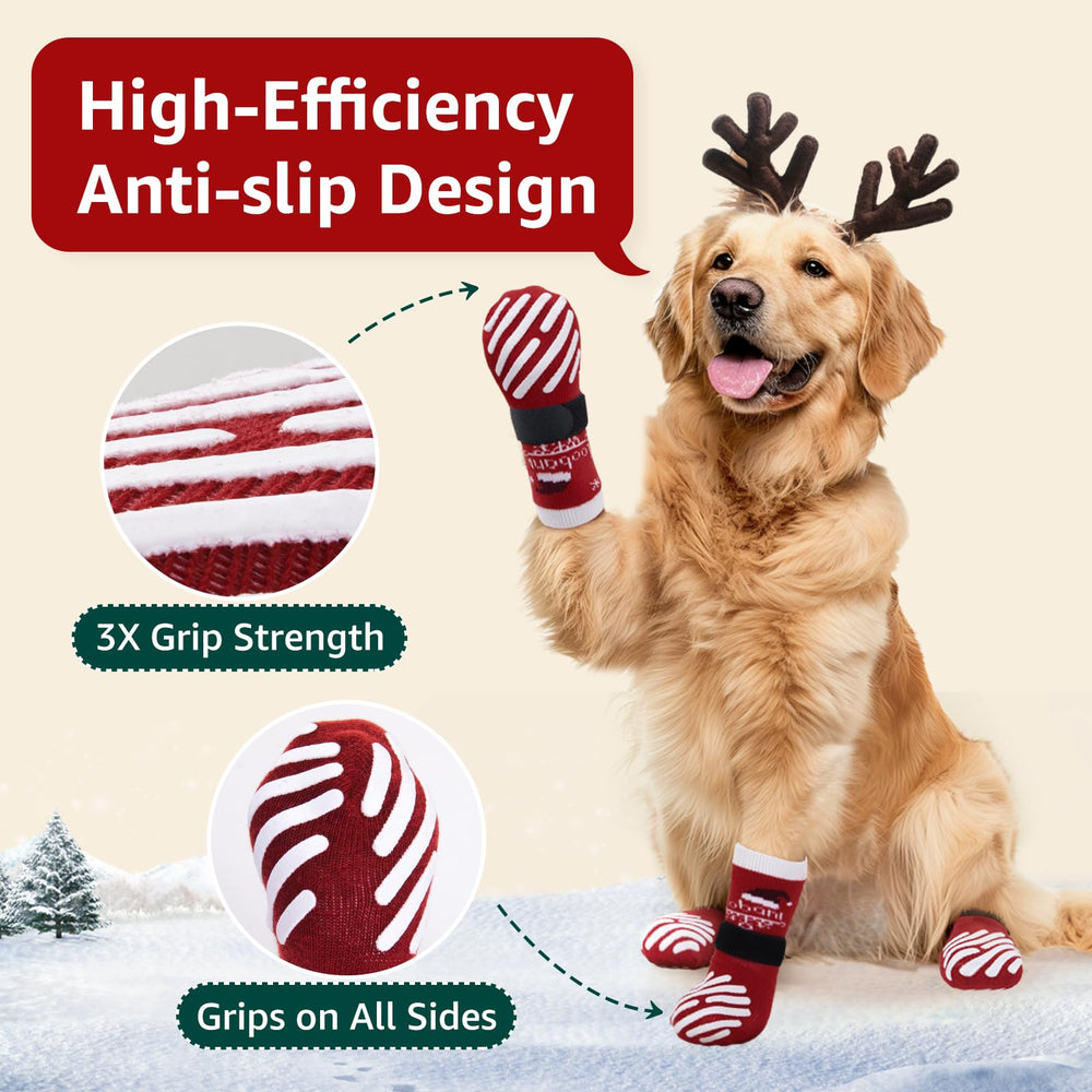 LOOBANI paw-protective socks shield paws on hot pavements and cold floors.