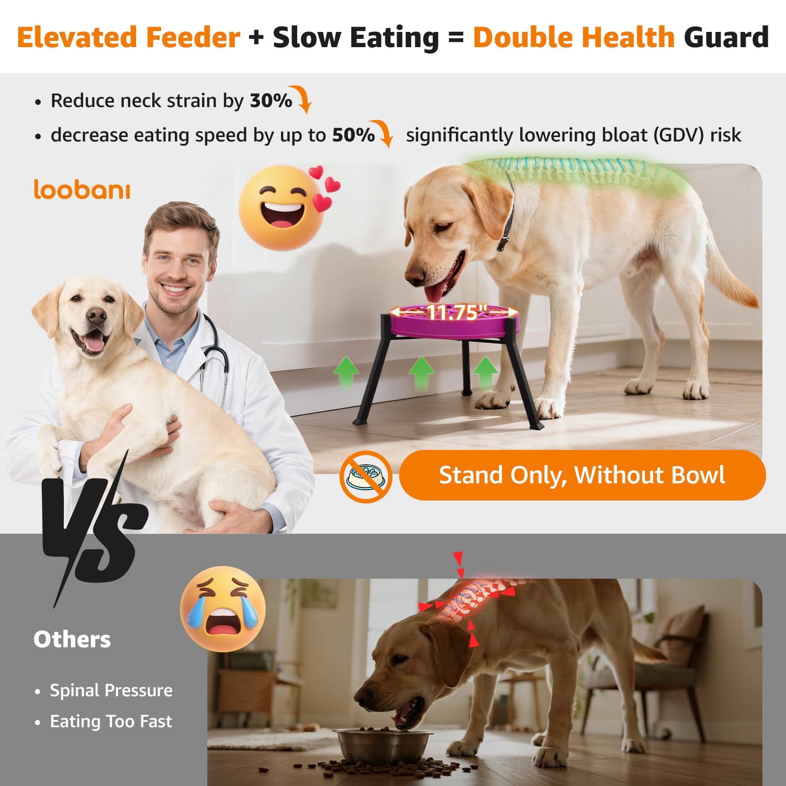 LOOBANI elevated dog bowl stand 8.4 inch elevation for comfortable feeding
