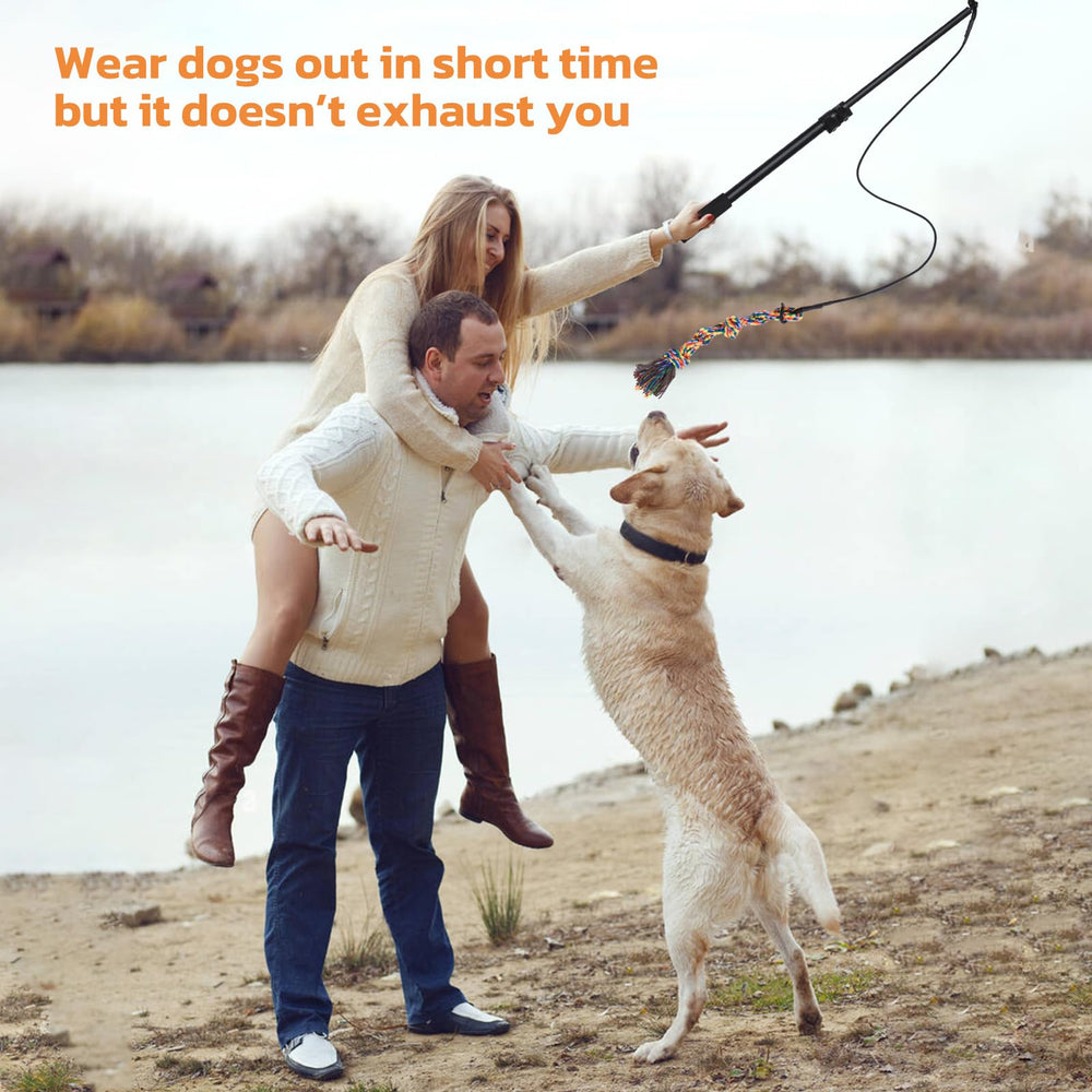 LOOBANI Flirt Pole small-dog training scenario for impulse control