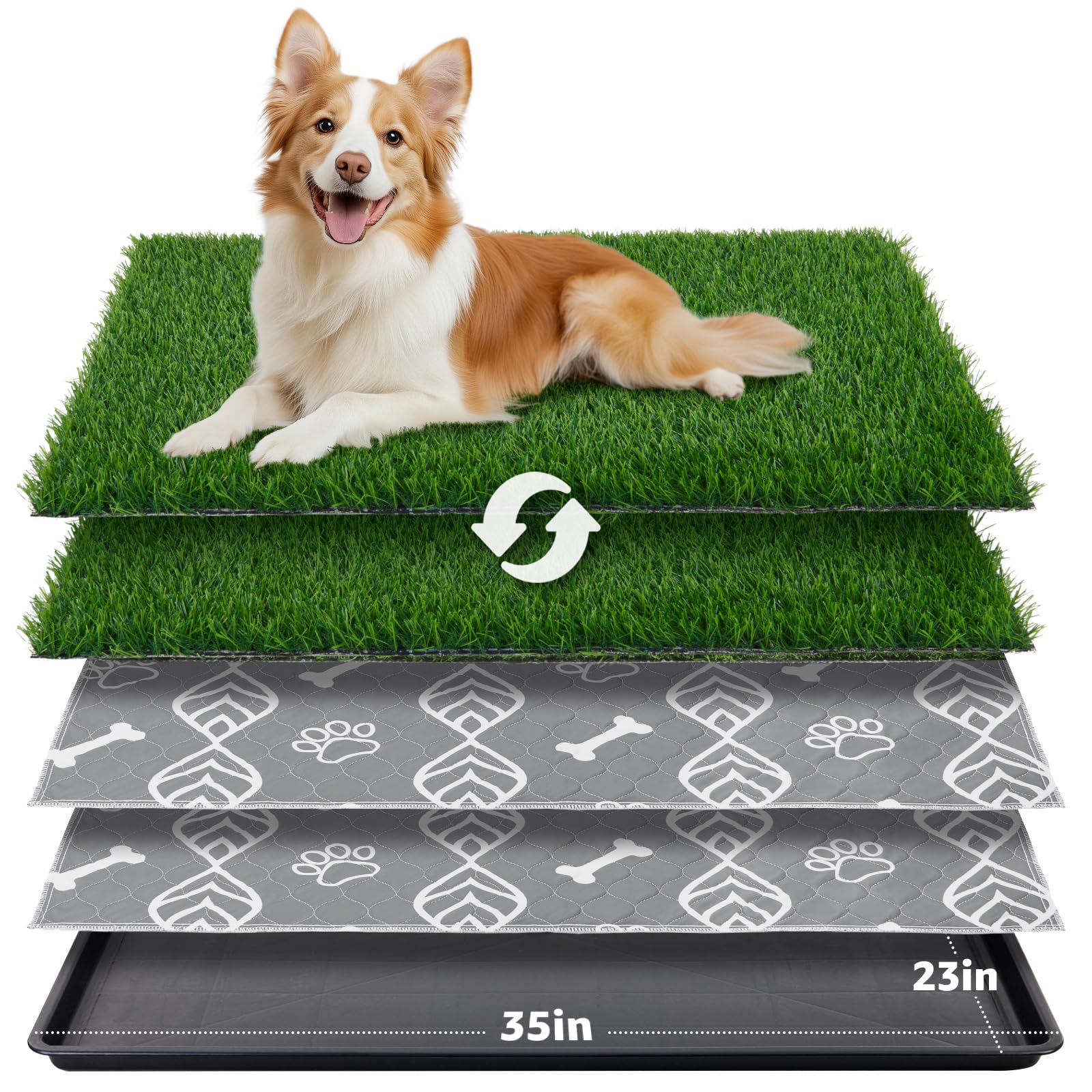 LOOBANI Grass Pad 35x23 full-view setup supports indoor potty training and easy maintenance.
