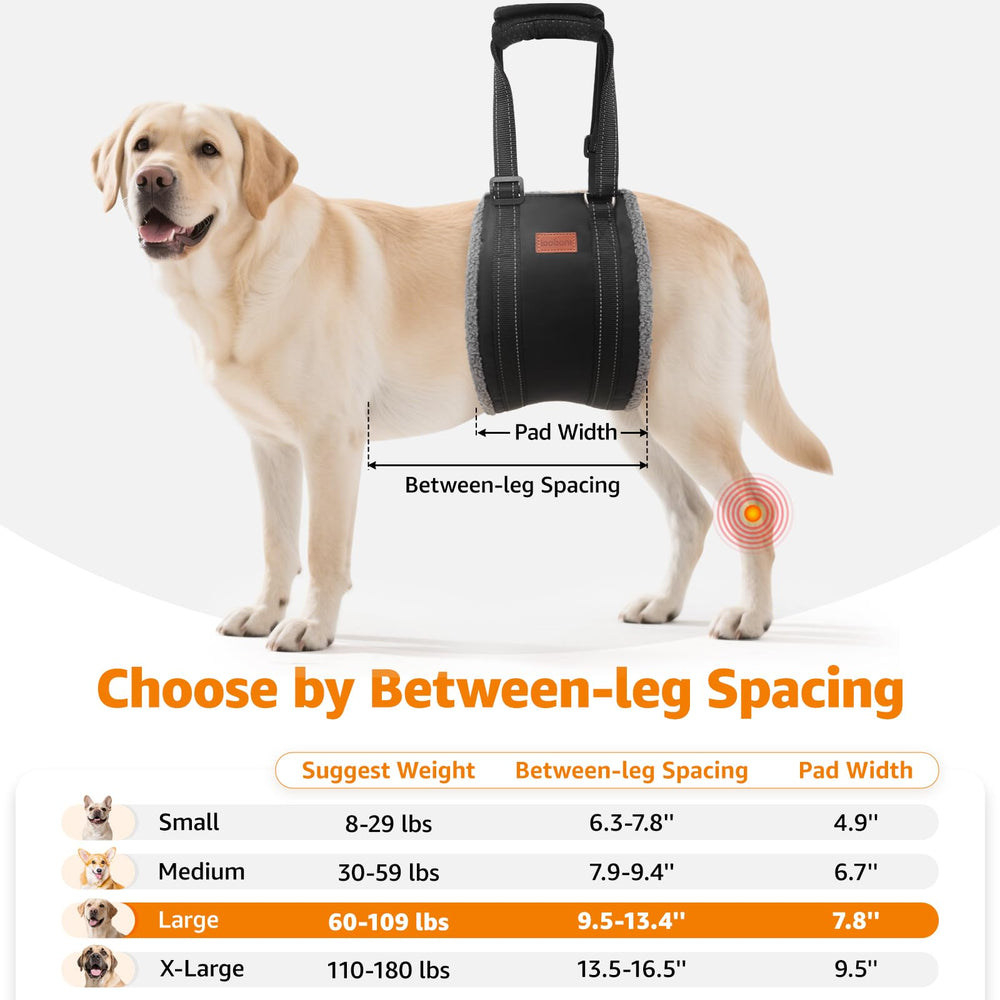 LOOBANI hip-support harness provides stable rear support during transfers.