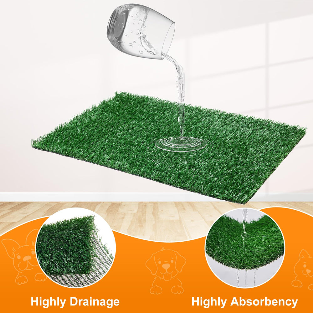 LOOBANI indoor potty setup supports calm training and predictable bathroom habits.