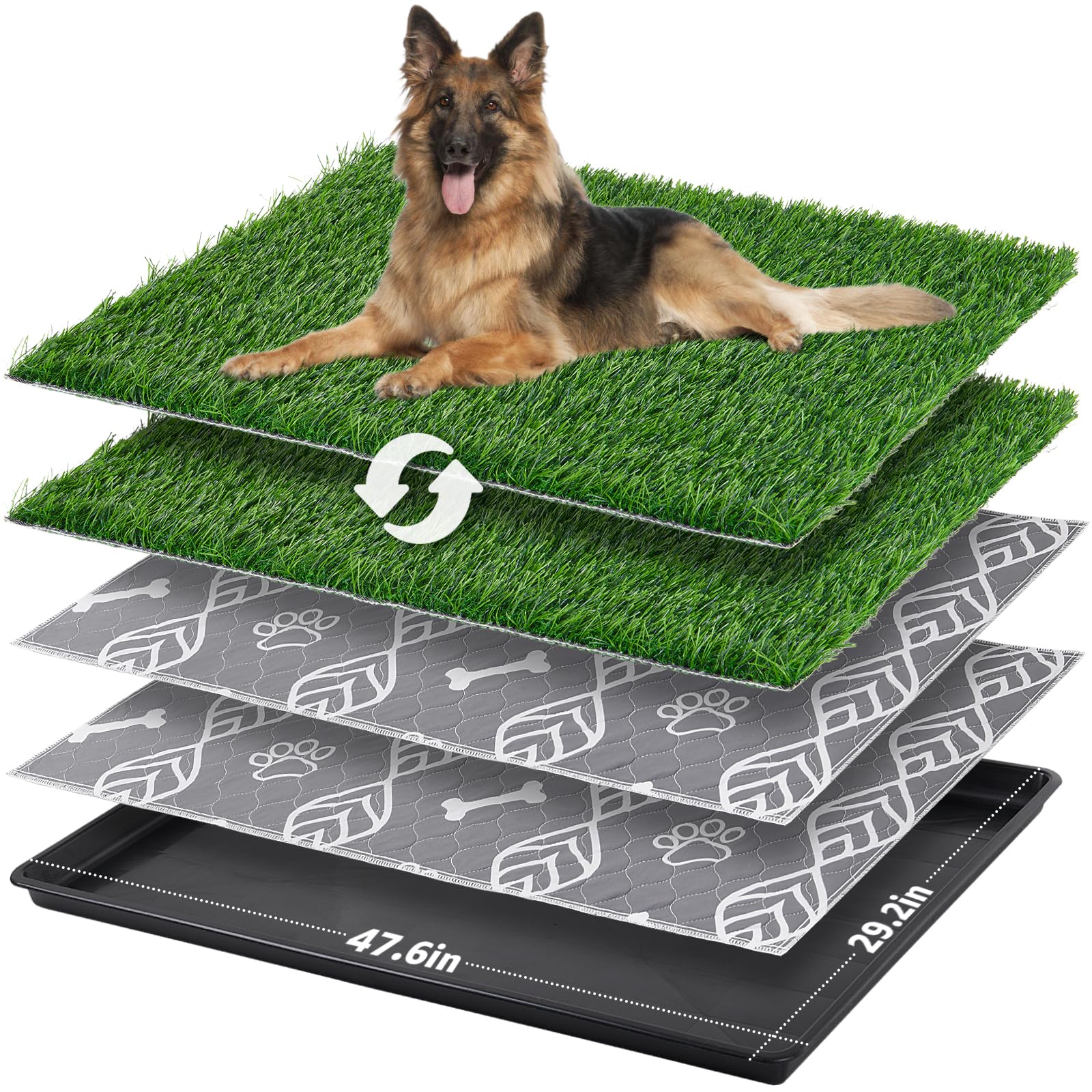 LOOBANI large dog litter box setup shows a spacious indoor potty for clean floors.