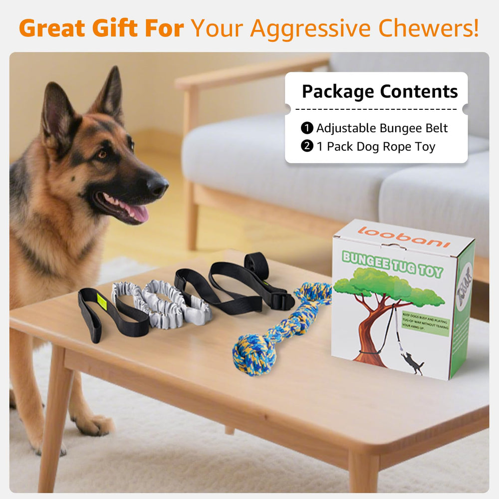 LOOBANI Bungee Tug Toy featuring a teeth-safe strap for pet-safe design