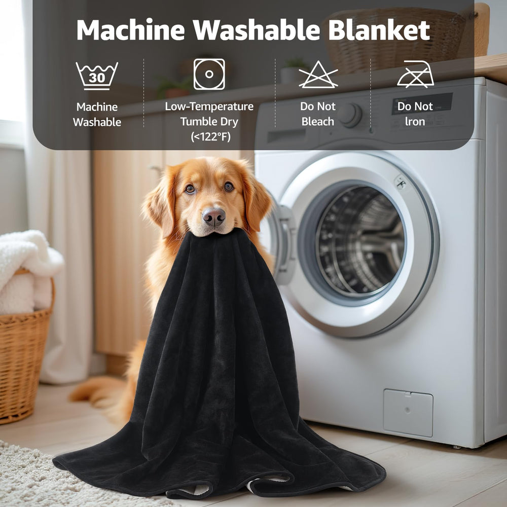 LOOBANI picnic-friendly dog blanket shields seating areas while pets relax.