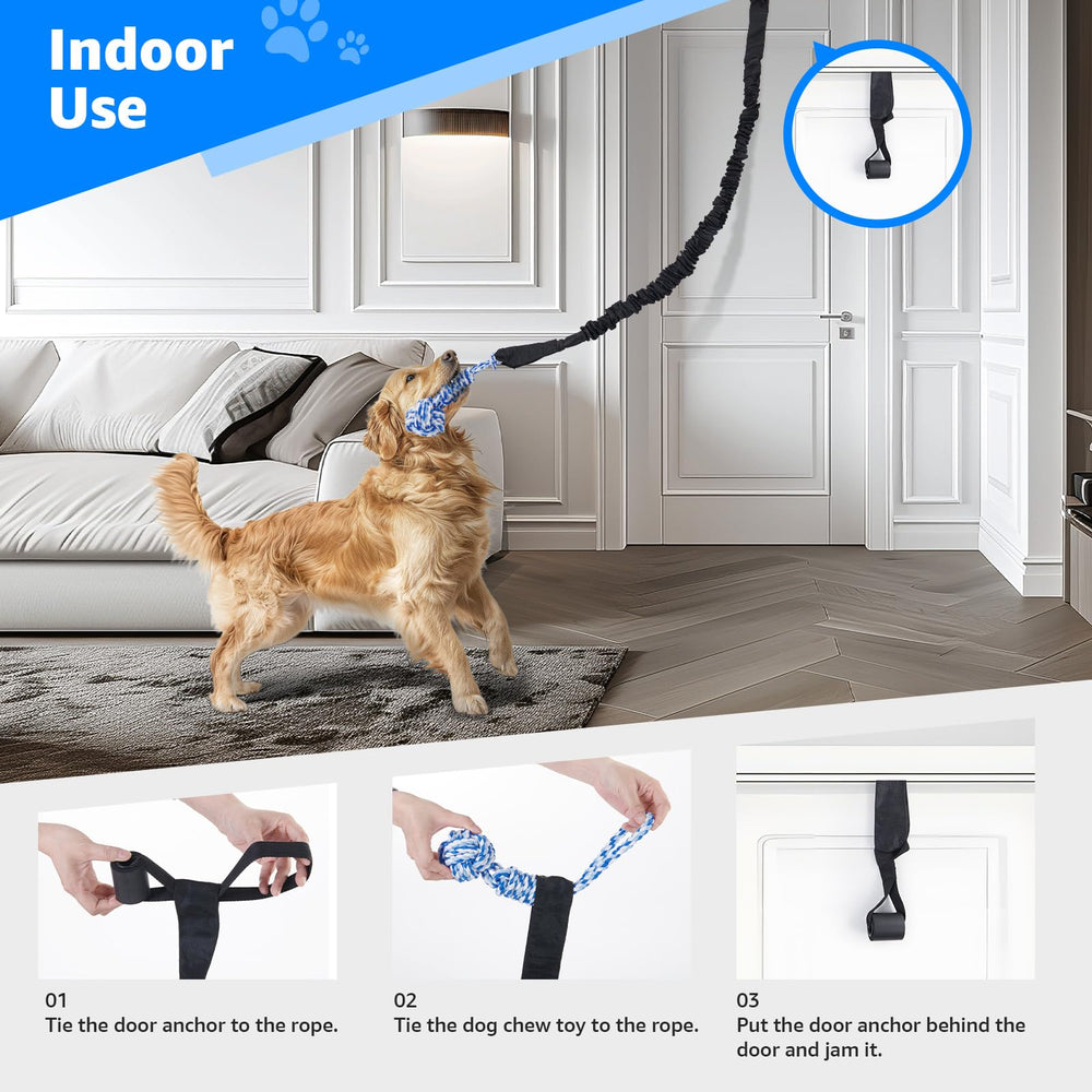 LOOBANI pitbull-friendly tug session with a strong pull