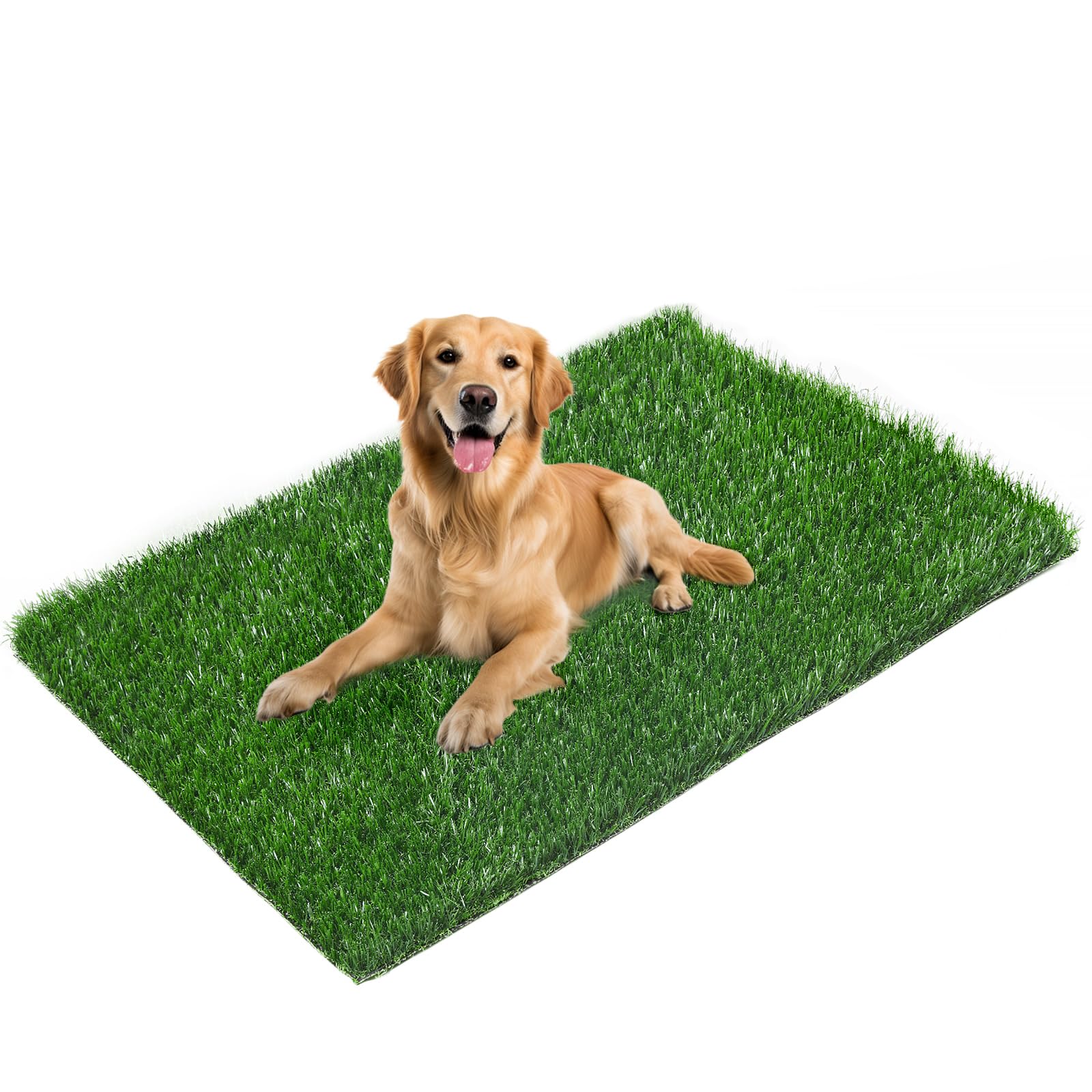 LOOBANI replacement grass pad close-up with absorbent surface for quick mess-free potty.