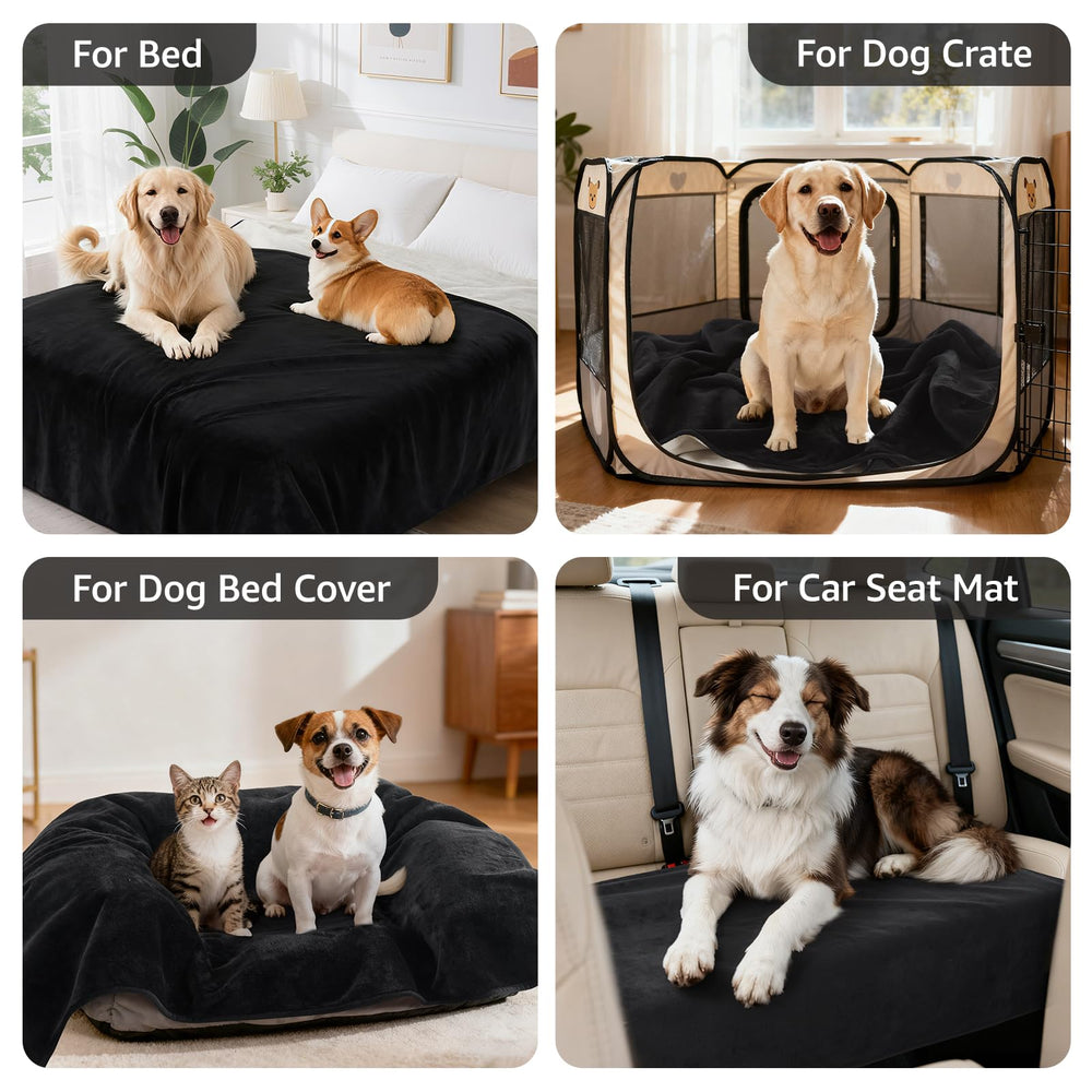 LOOBANI travel dog blanket ready for car trips and outdoors.