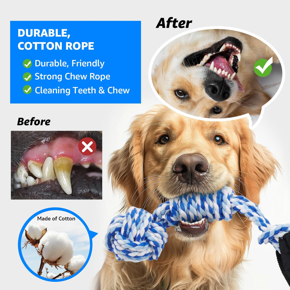 LOOBANI two-pack dog toys shown together for varied play sessions