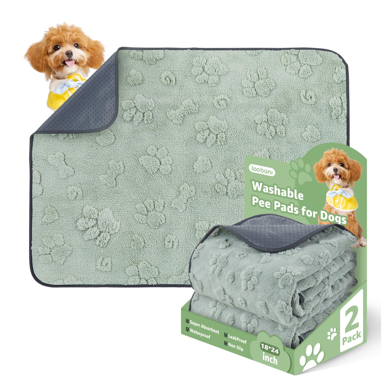 LOOBANI Washable Pee Pad 2 Pack—reusable potty training surface for floors