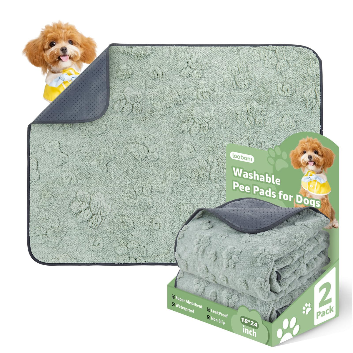 LOOBANI Washable Pee Pad 2 Pack—reusable potty training surface for floors