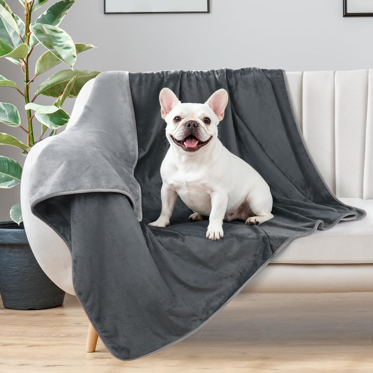 LOOBANI waterproof dog blanket soft-flannel close-up emphasizes cozy naps