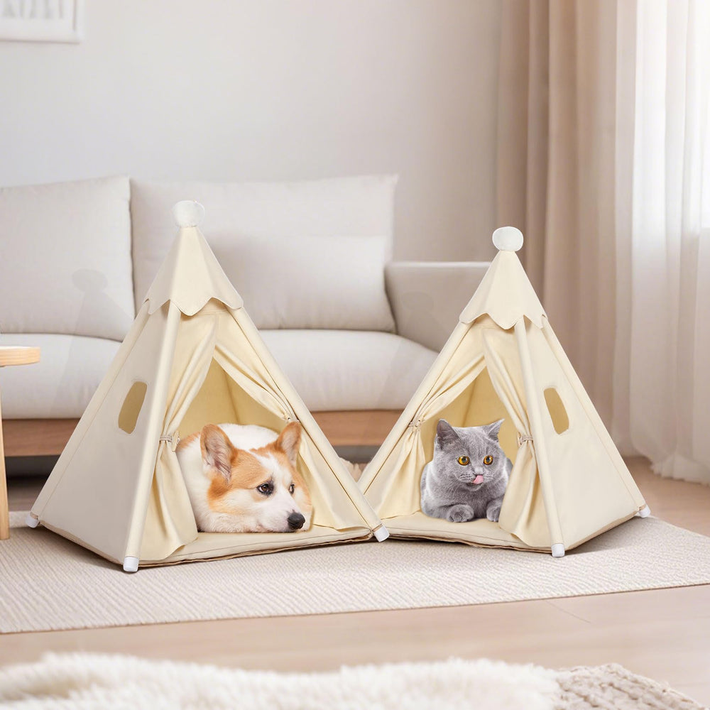 LOOBMBNS cozy teepee in-use setup with Beagle or Corgi enjoying shade and privacy.