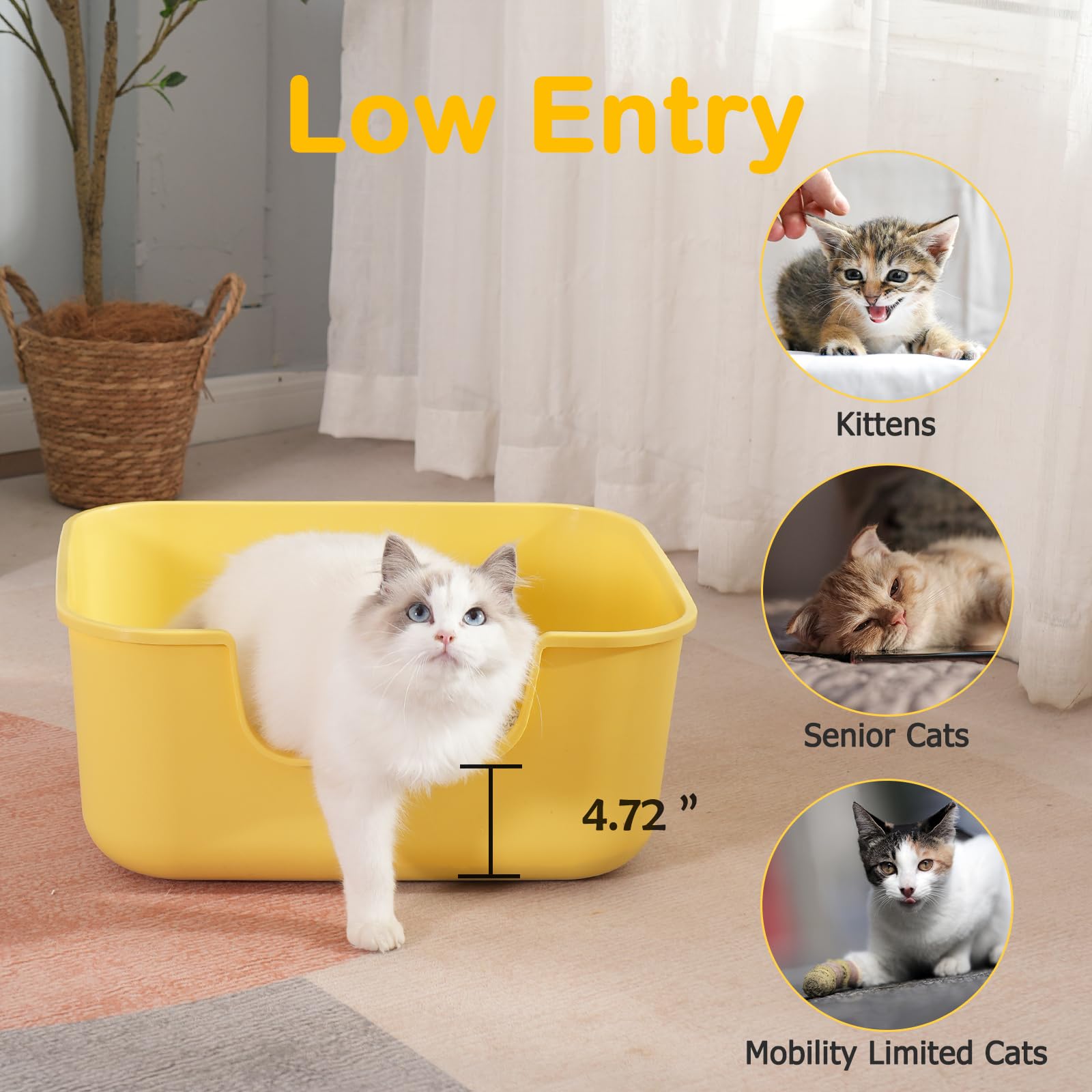 LoopTime litter box easy to clean—smooth surface for quick maintenance