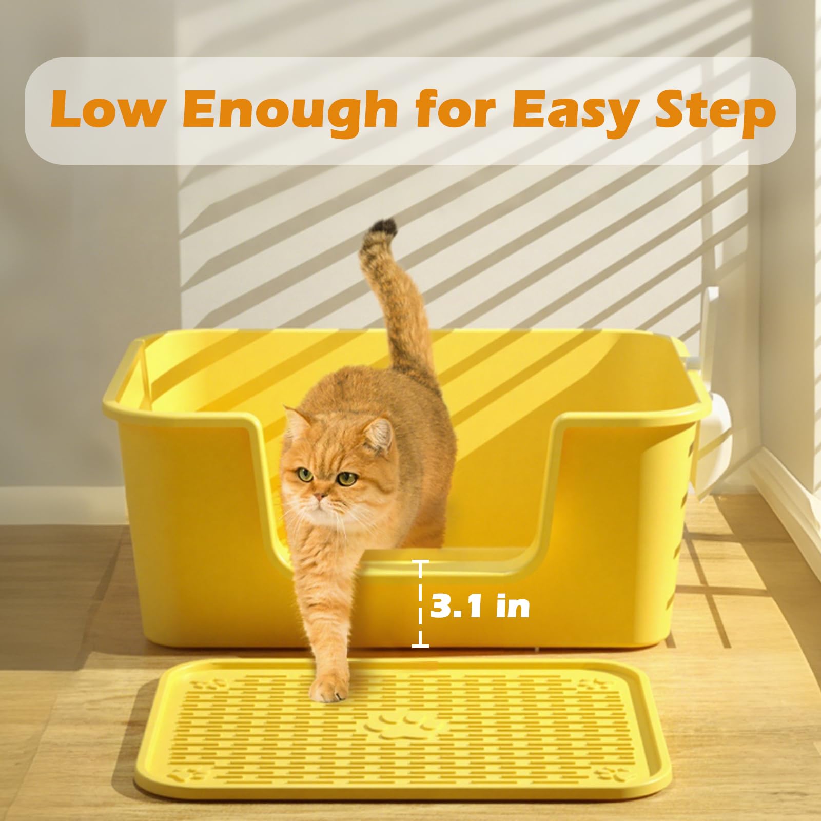 LoopTime litter box with high sides offering privacy and containment for multiple cats