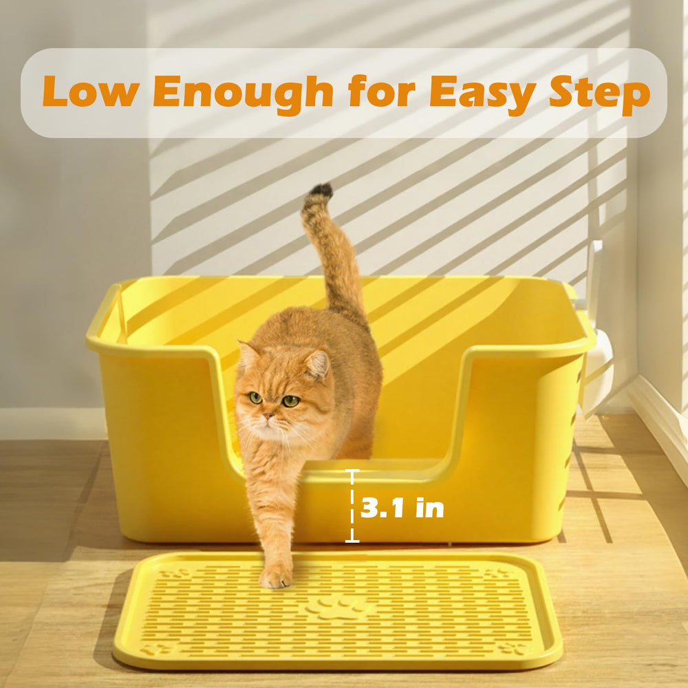 LoopTime litter box with high sides offering privacy and containment for multiple cats