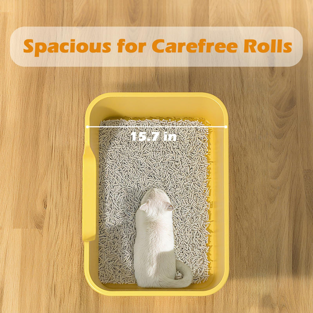 LoopTime open top design allows quick health monitoring of litter habits