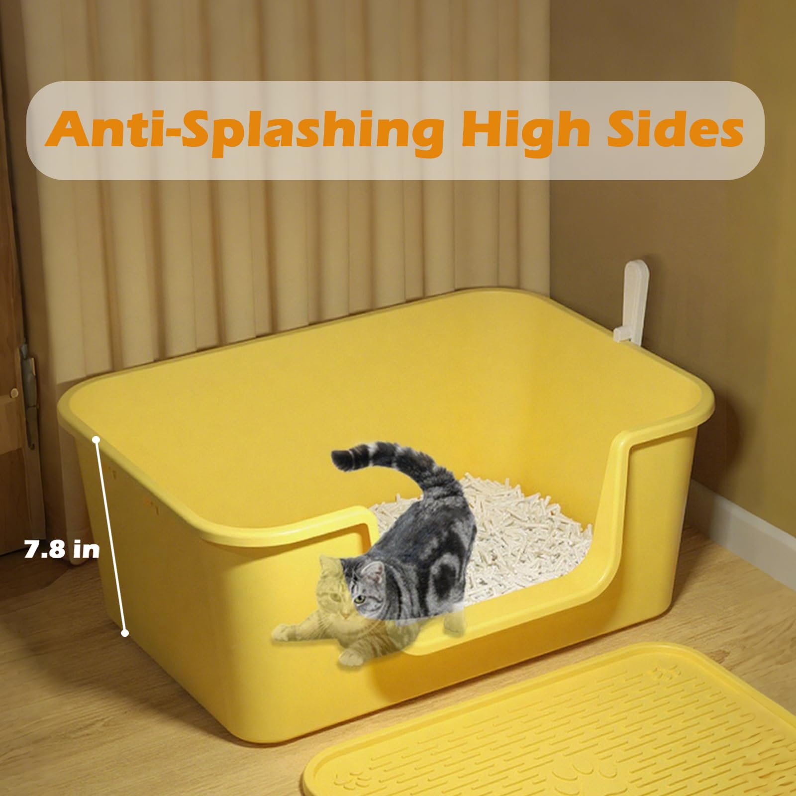 LoopTime spacious base provides room for large breeds and reduces crowding