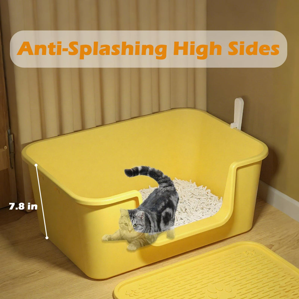 LoopTime spacious base provides room for large breeds and reduces crowding