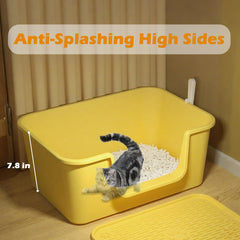 LoopTime spacious base provides room for large breeds and reduces crowding