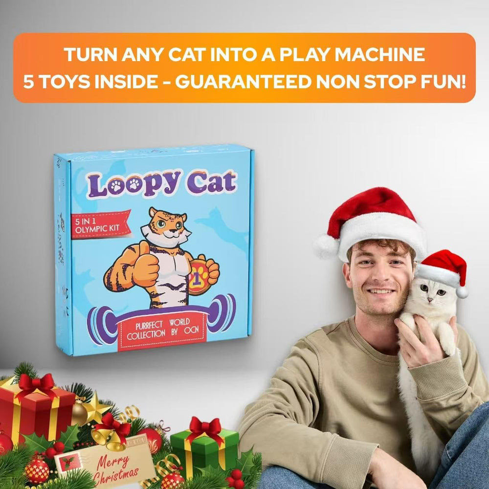 LOOPY CAT Interactive Tunnel 3-Way demonstrates spacious play space encouraging stalking and pouncing