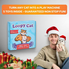 LOOPY CAT Interactive Tunnel 3-Way demonstrates spacious play space encouraging stalking and pouncing