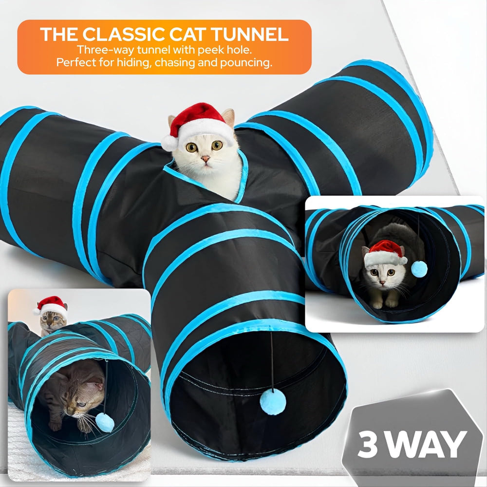 LOOPY CAT Spiral Toy Chaser provides rolling spirals that inspire sprinting and ambush instincts