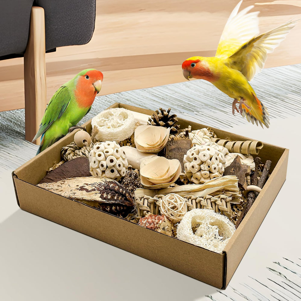 LOPERDEVE natural bird toy box open shows treasure-filled foraging play.