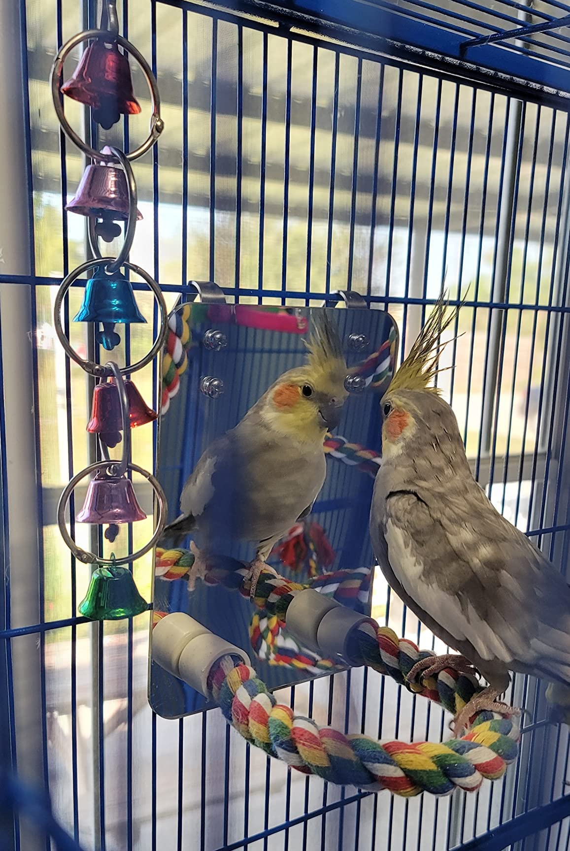 LOPERDEVE safe acrylic mirror with durable rope perch for daily play.