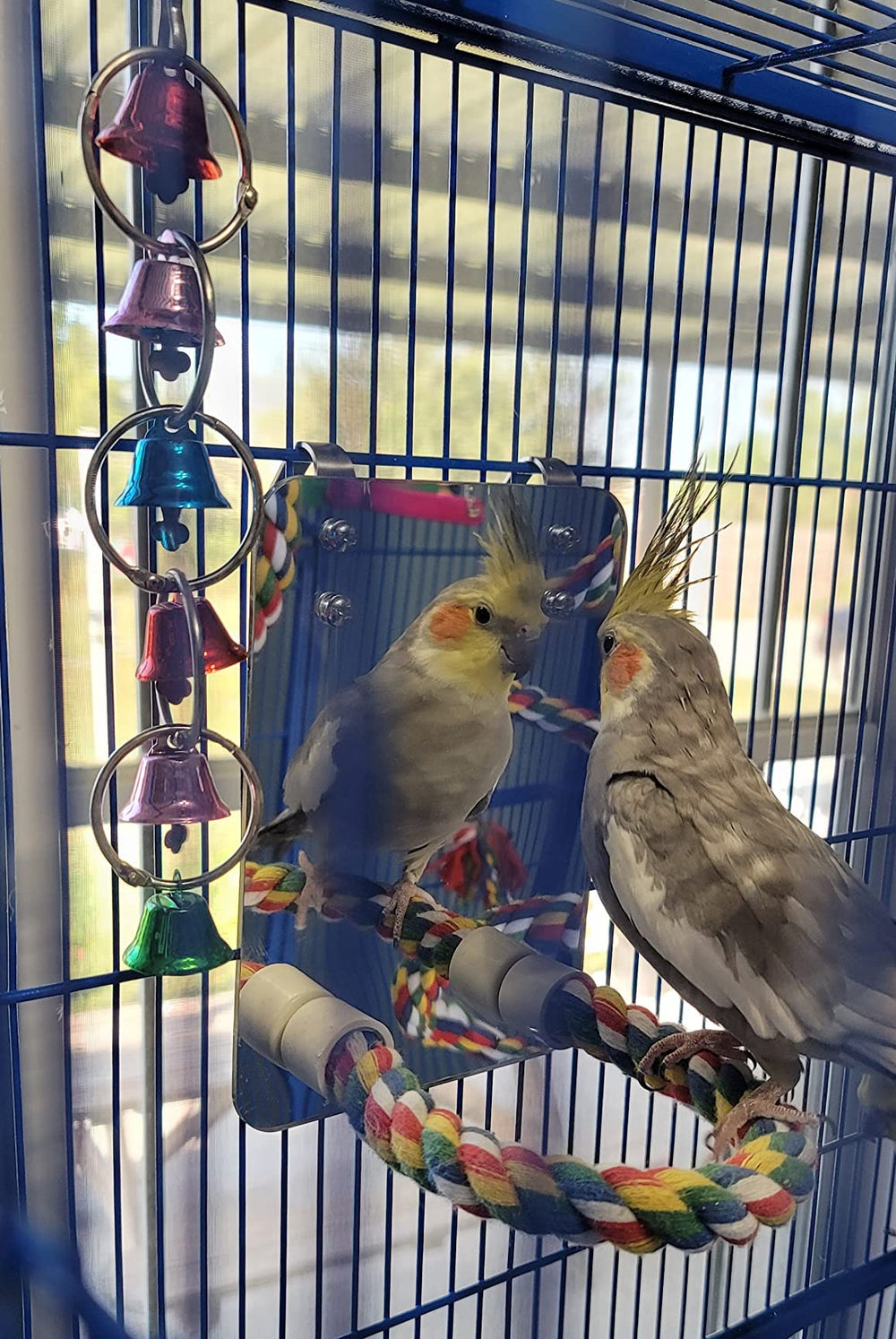 LOPERDEVE safe acrylic mirror with durable rope perch for daily play.