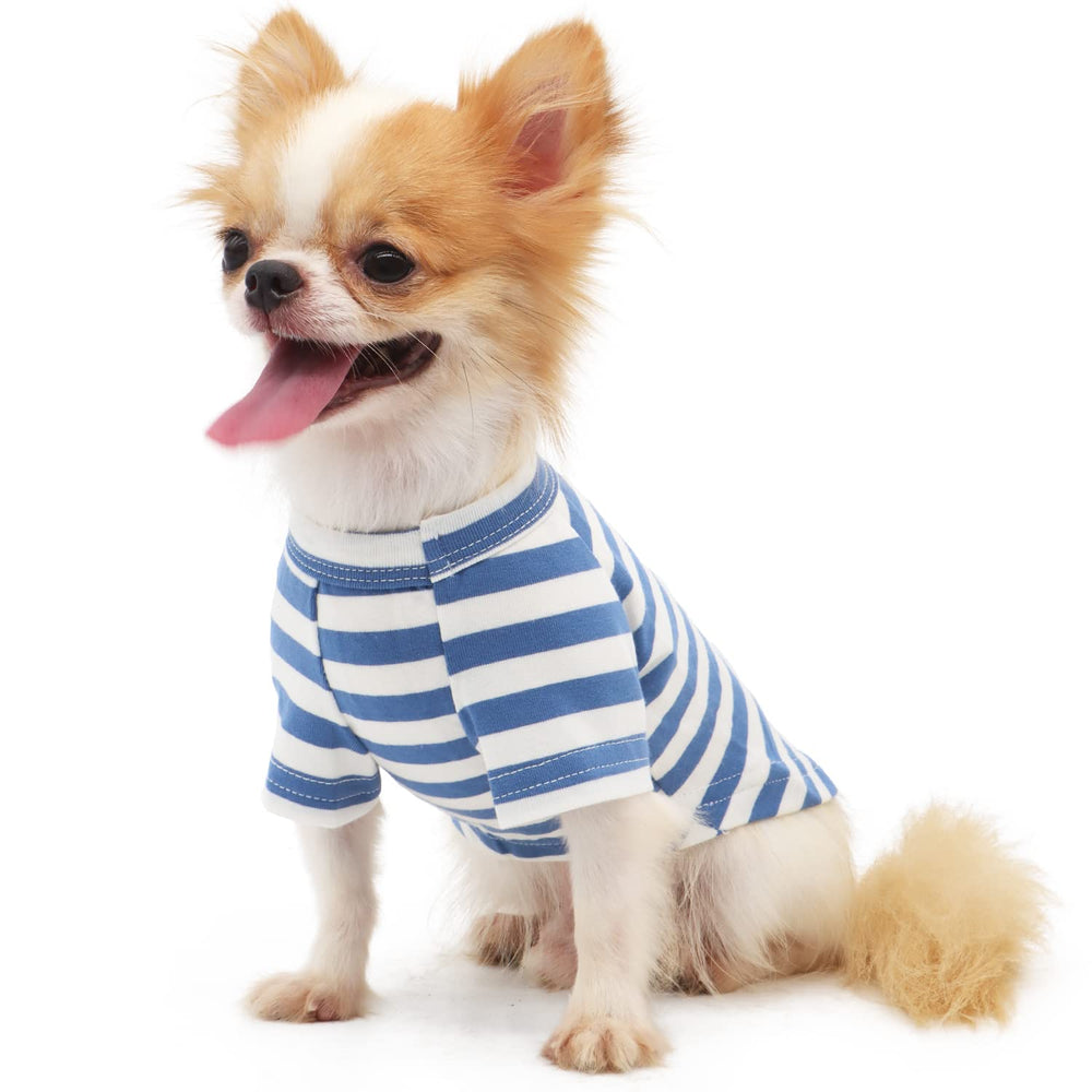 LOPHIPETS blue-striped dog tee back view highlights stylish daily wear