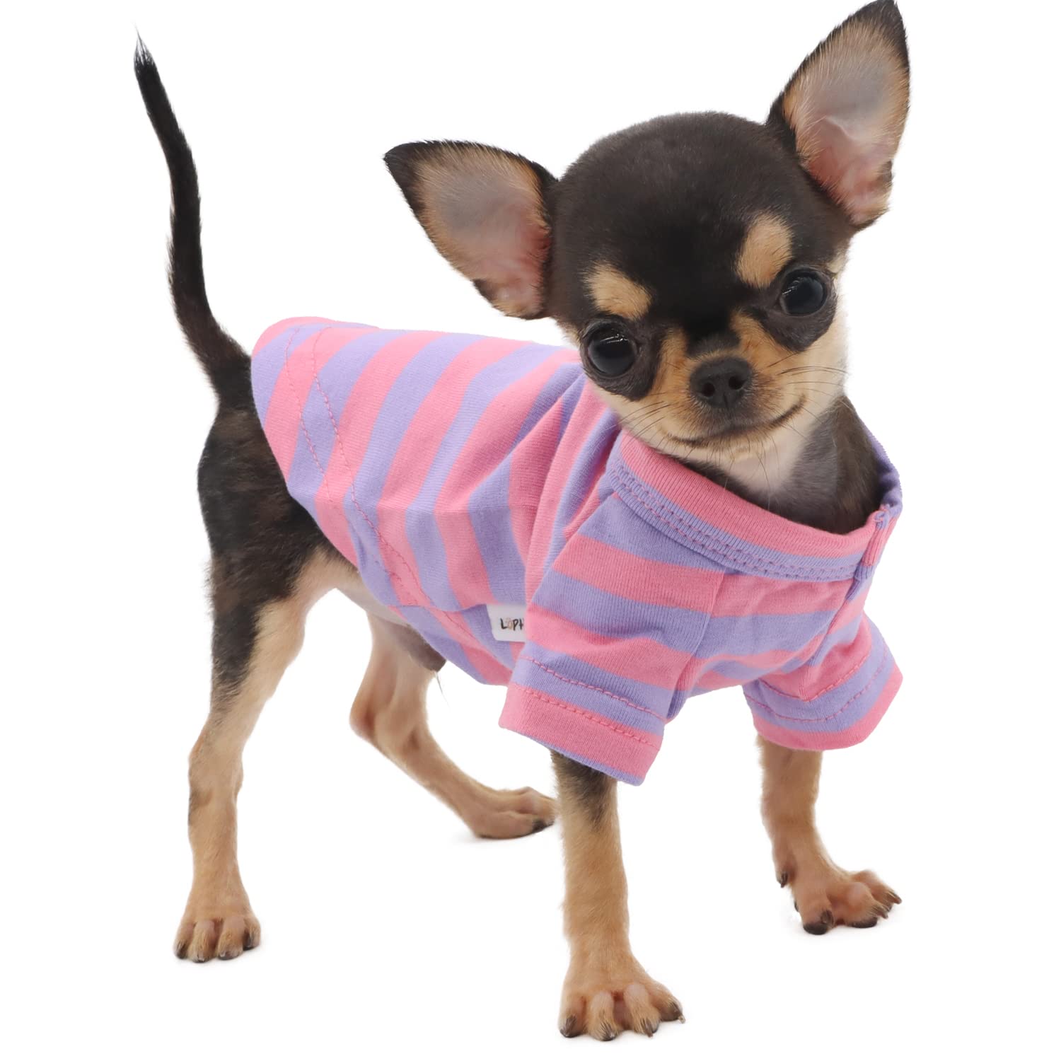 LOPHIPETS XXS striped tee front view, small-dog comfort and style