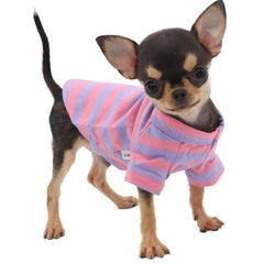 LOPHIPETS XXS striped tee front view, small-dog comfort and style