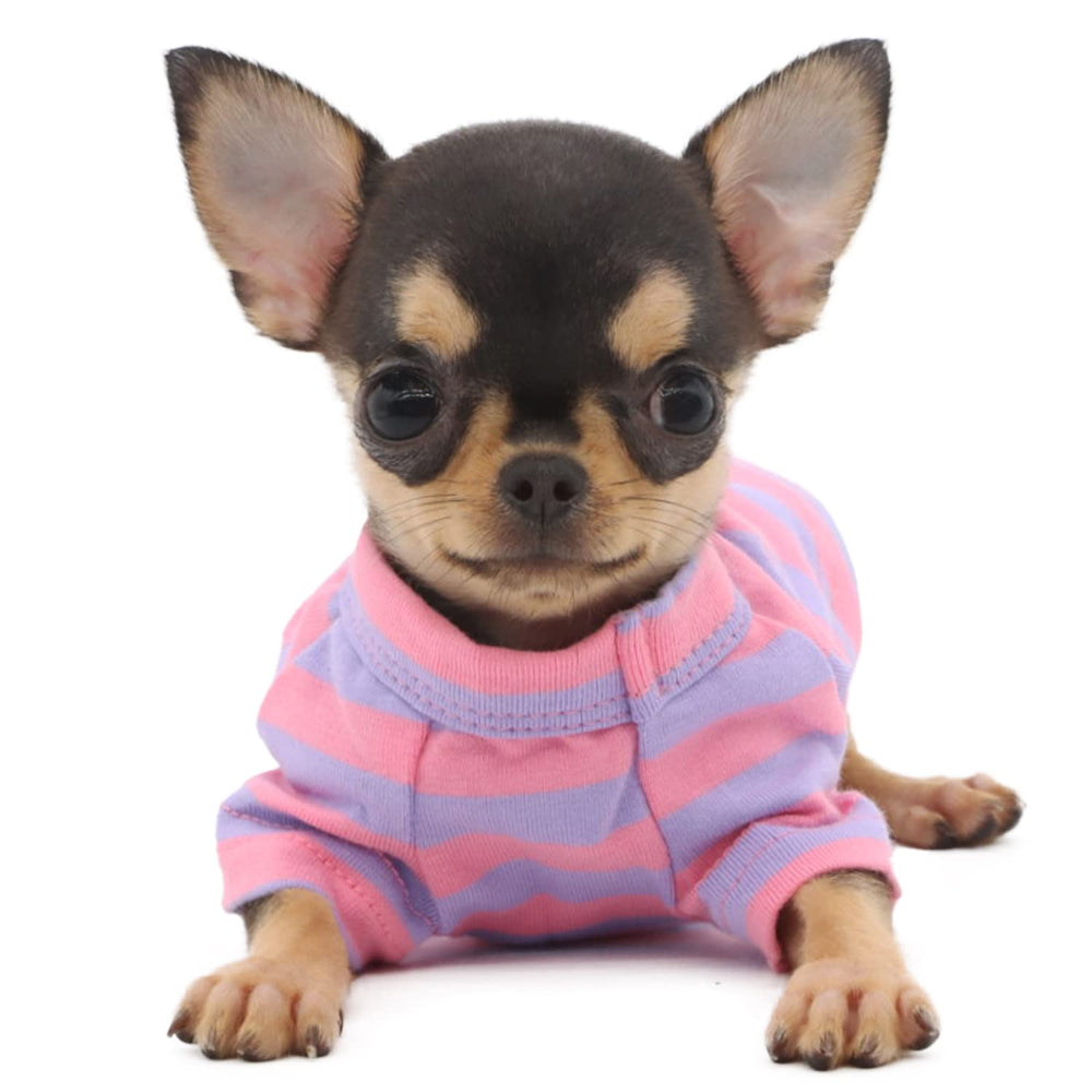LOPHIPETS XXS striped tee side view, easy movement