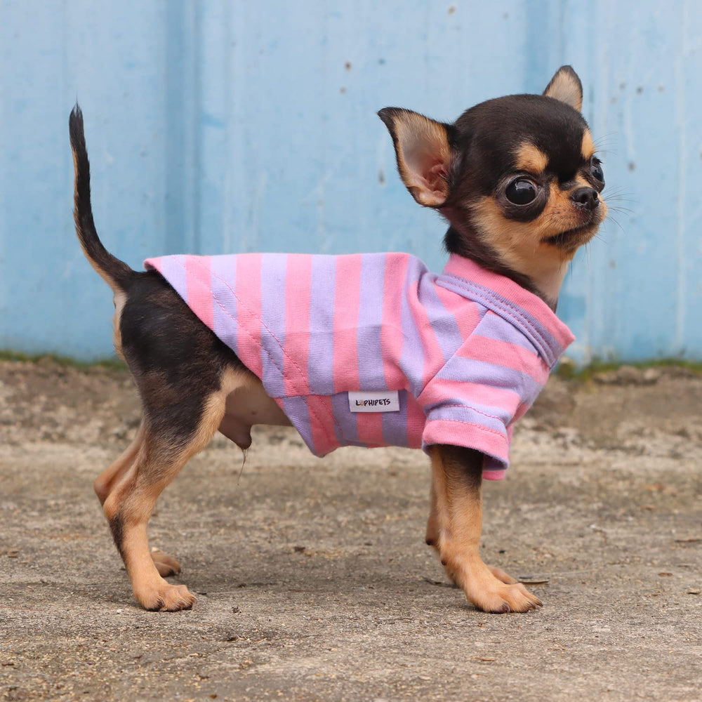LOPHIPETS XXS wear-test, easy wear and washability