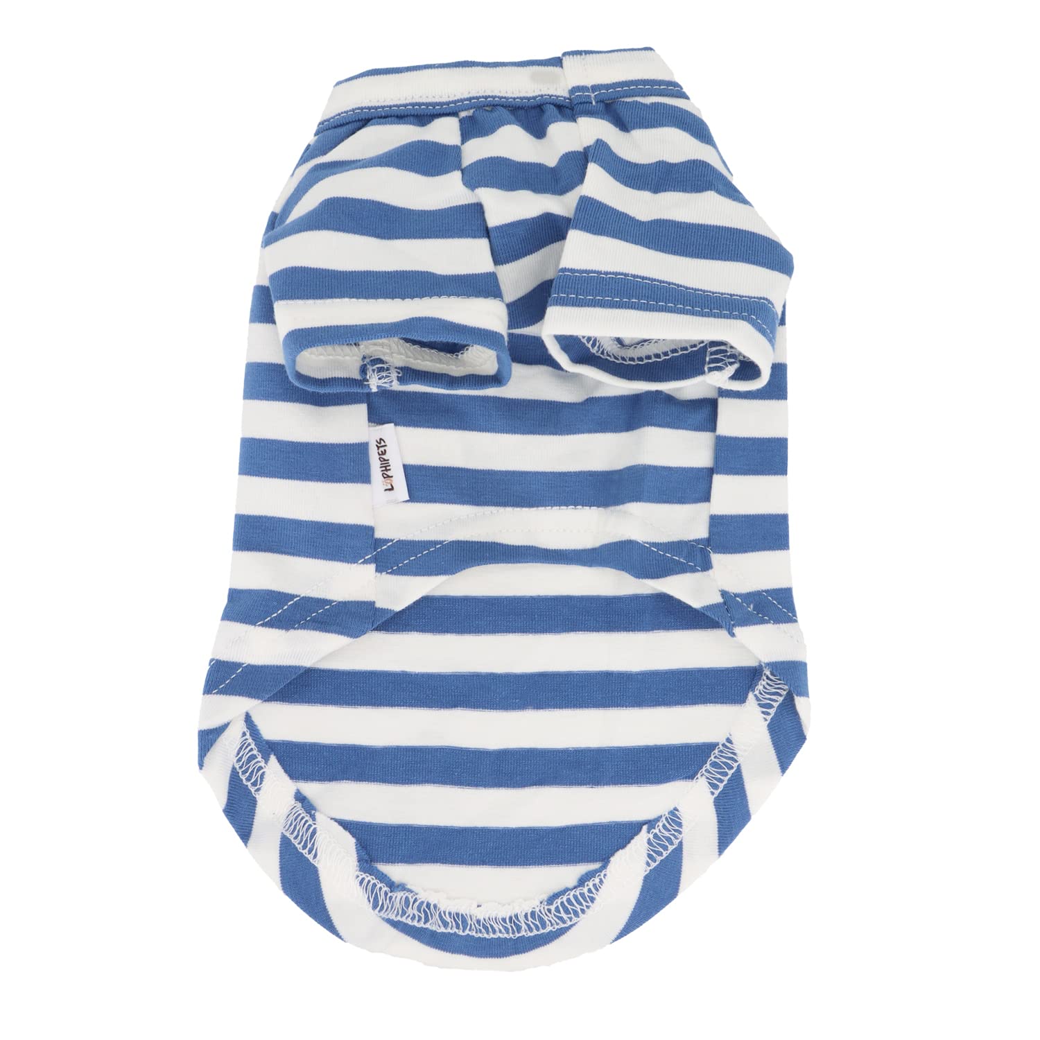 LOPHIPETS Chihuahua wearing striped tee for outdoor and indoor activities