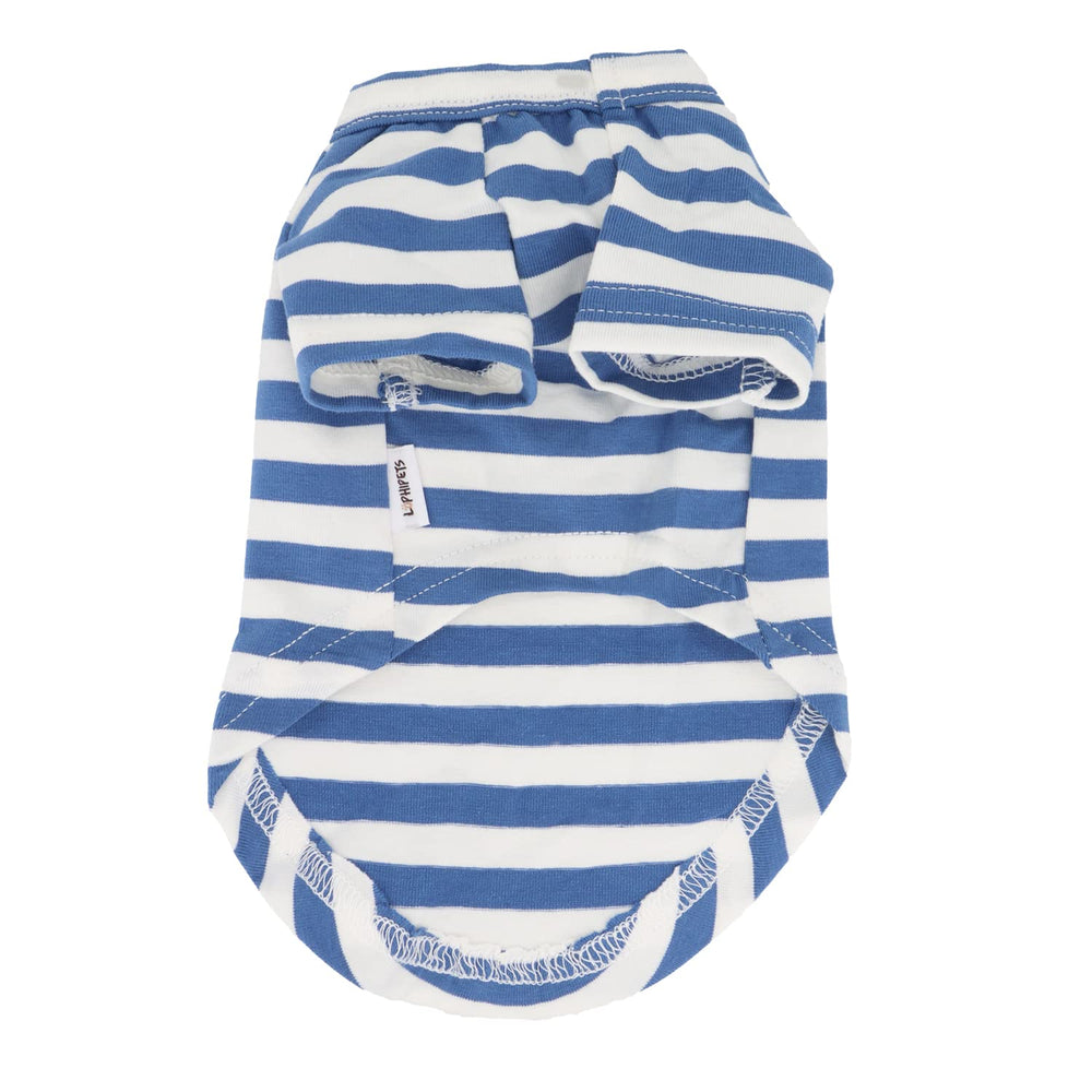 LOPHIPETS Chihuahua wearing striped tee for outdoor and indoor activities