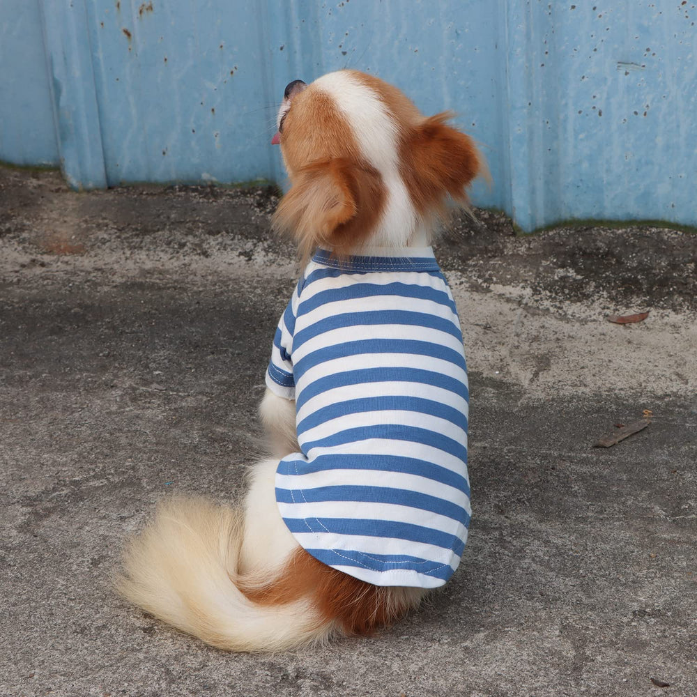 LOPHIPETS machine-washable dog tee makes care simple
