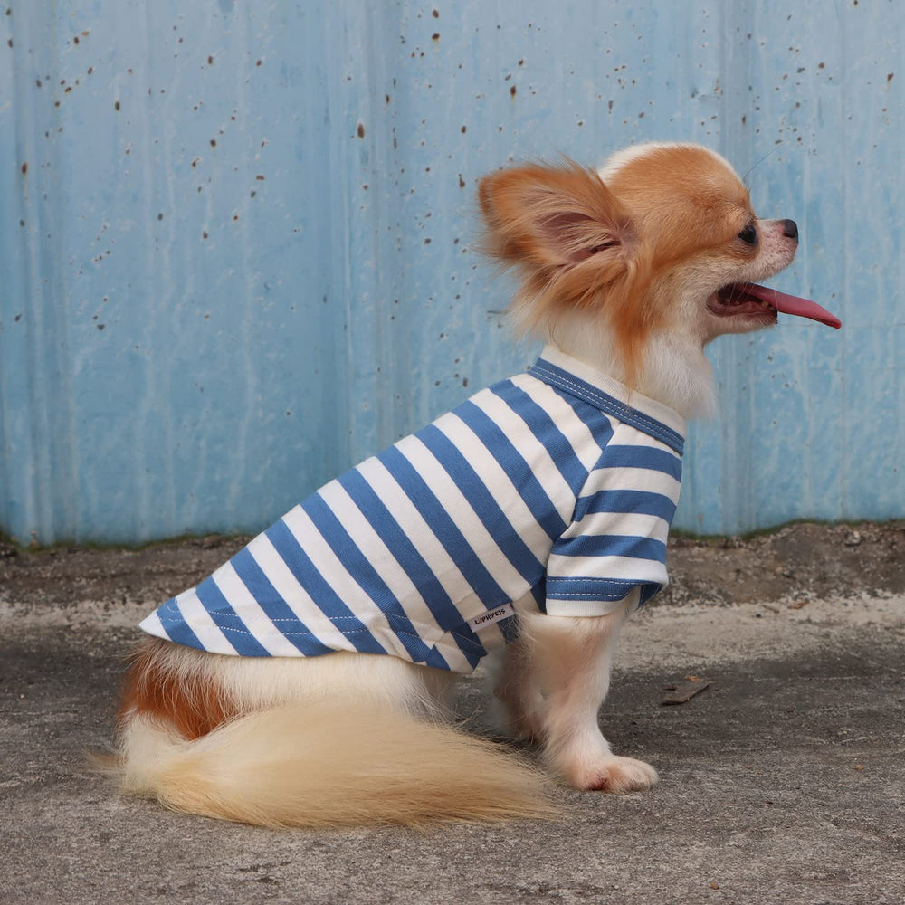 LOPHIPETS belly-closure design enables easy bathroom breaks during walks