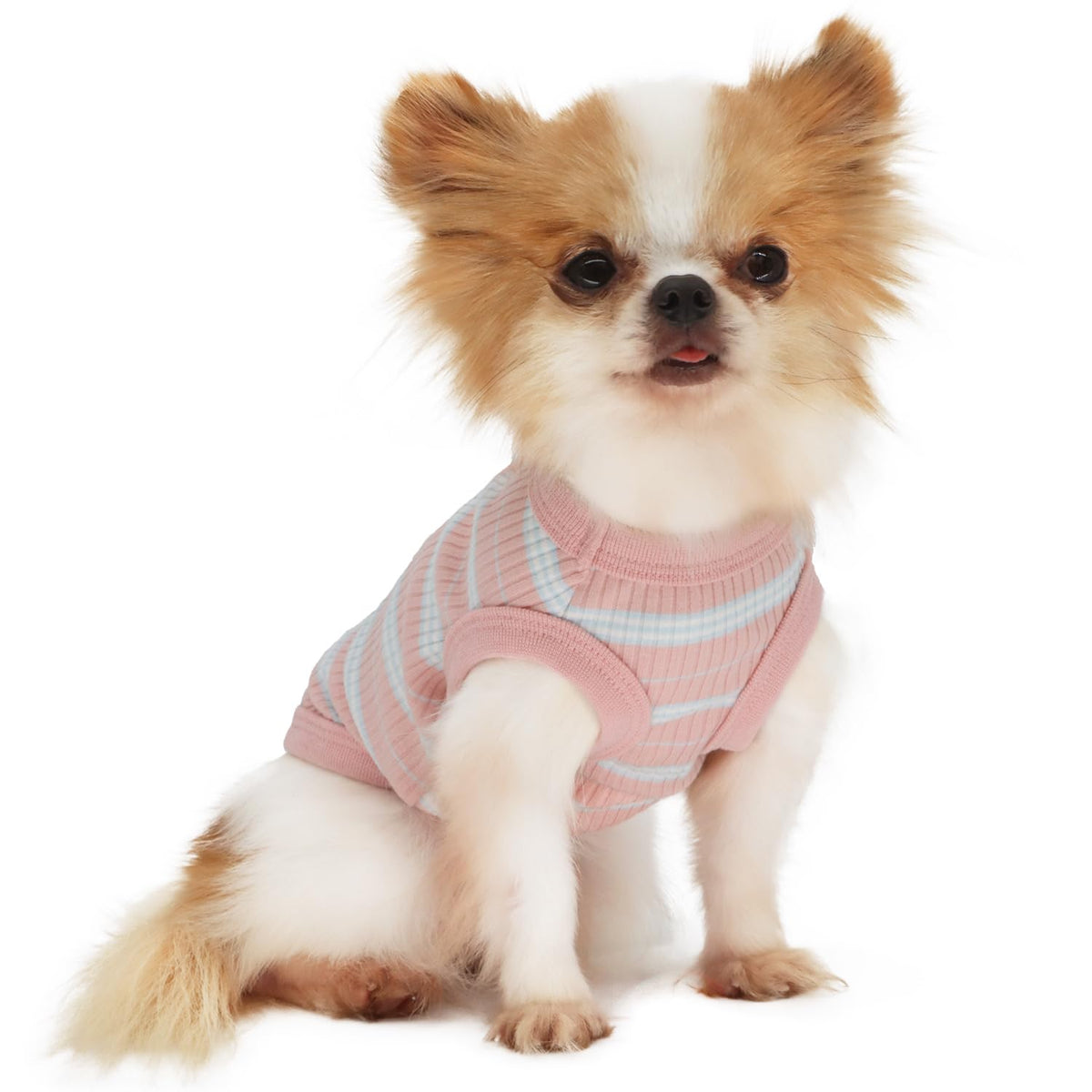 LOPHIPETS 100% cotton rib dog shirt front view showing soft fabric