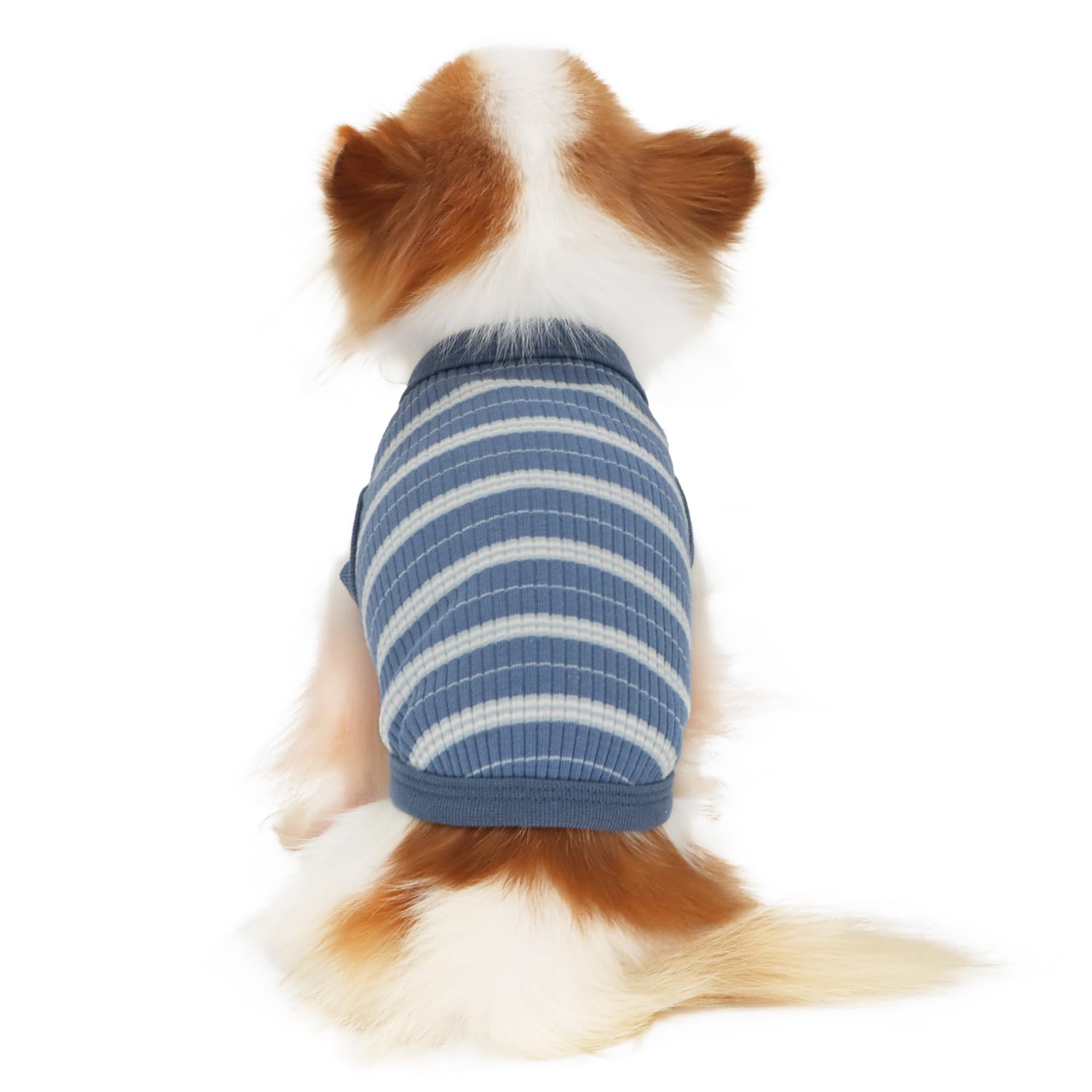 LOPHPETS 100% cotton rib dog shirt Navy L, back view showing stretch.