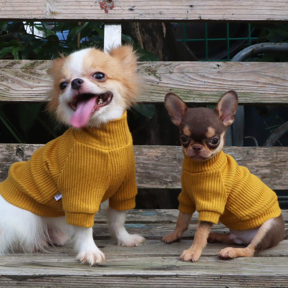 LOPHIPETS belly closure view — pee-friendly design for quick bathroom breaks.