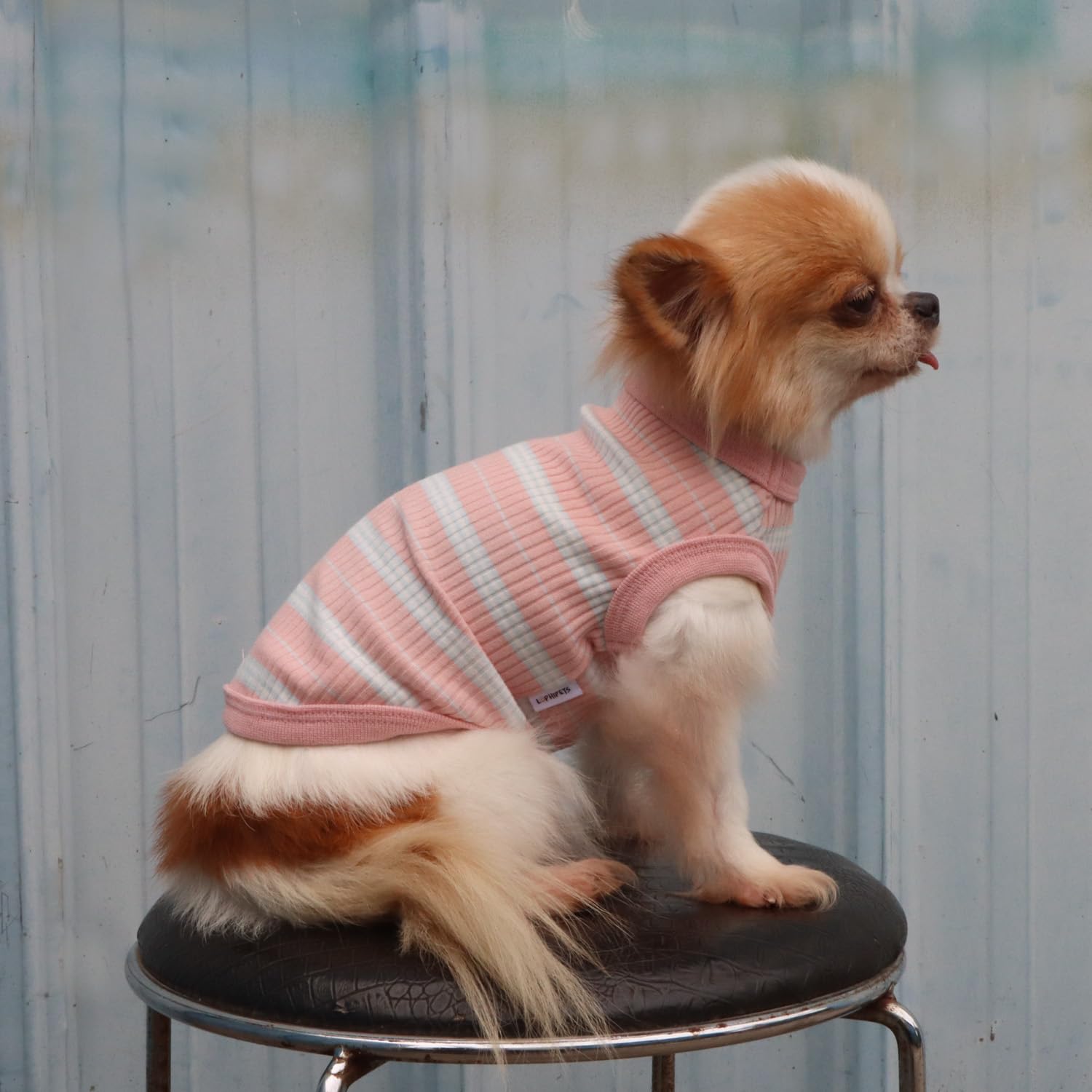 LOPHIPETS dog shirt machine washable cold care for busy owners