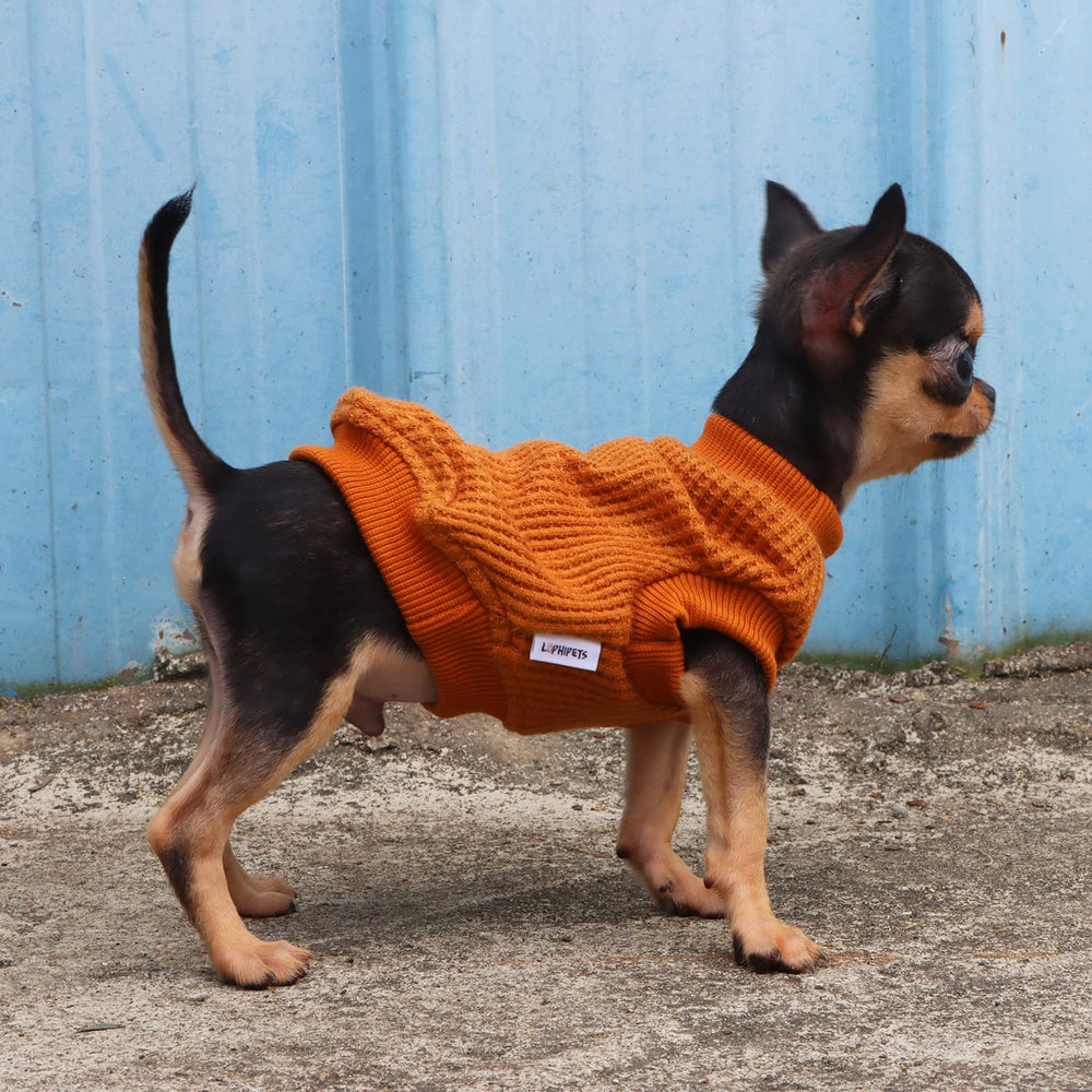 LOPHIPETS dog sweater belly-closure close-up keeps pee breaks easy during walks
