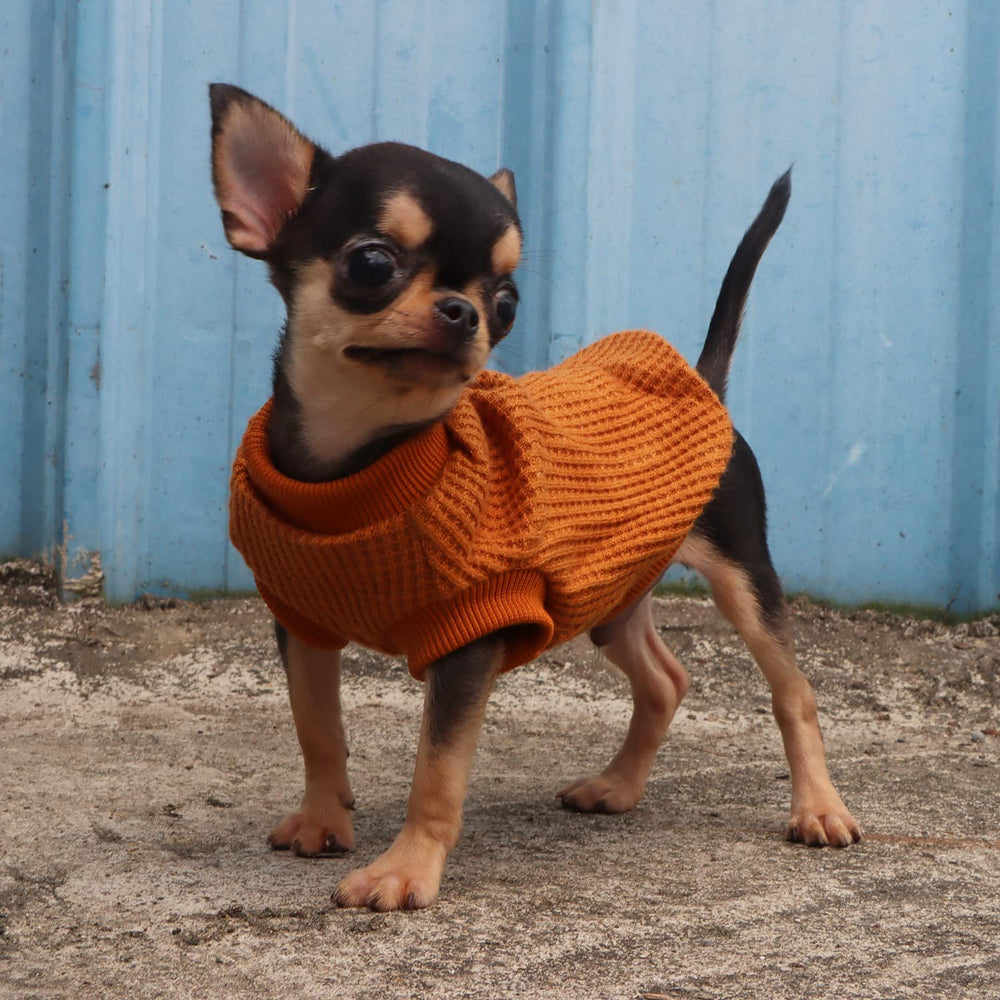 LOPHIPETS dog sweater machine-washable cold-water care keeps wardrobe fresh and simple