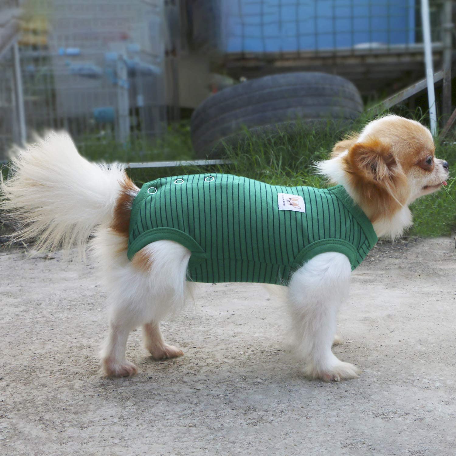 LOPHIPETS Girl Dog Shirts Pajamas green strips detail stitching supports daily wear durability